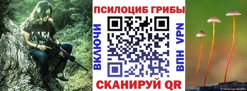 цены   Нижнекамск  Псилоцибиновые грибы MAGIC MUSHROOMS 